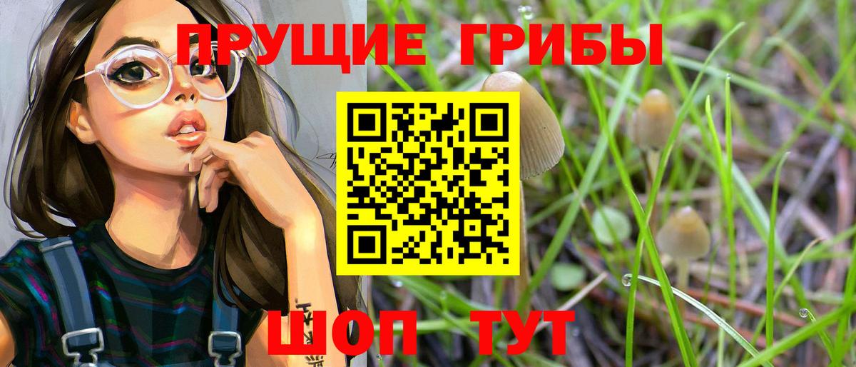 Красноармейск  Галлюциногенные грибы мухоморы  Вход с VPN 