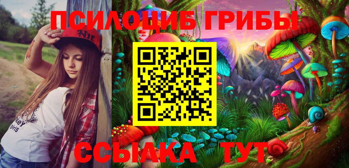 Галлюциногенные грибы мухоморы Красноармейск